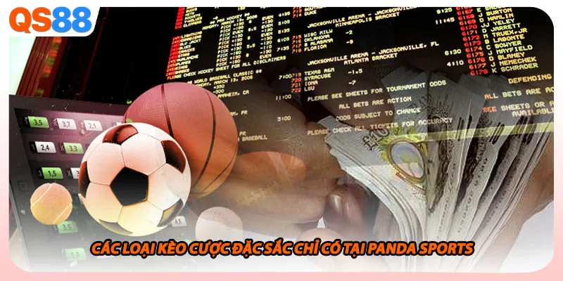 Các loại kèo cược đặc sắc chỉ có tại Panda Sports